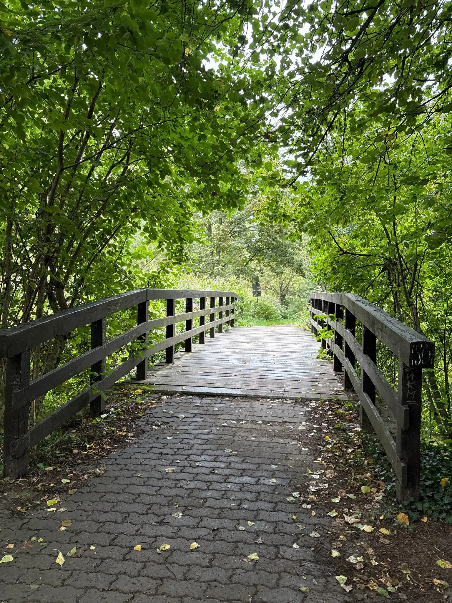Holzbrücke im Naturschutzgebiet Leinemasch